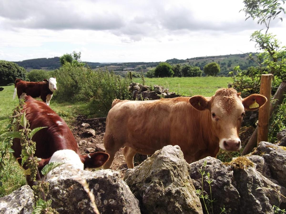 Hall Dale View Near Matlock & Peak District 외부 사진