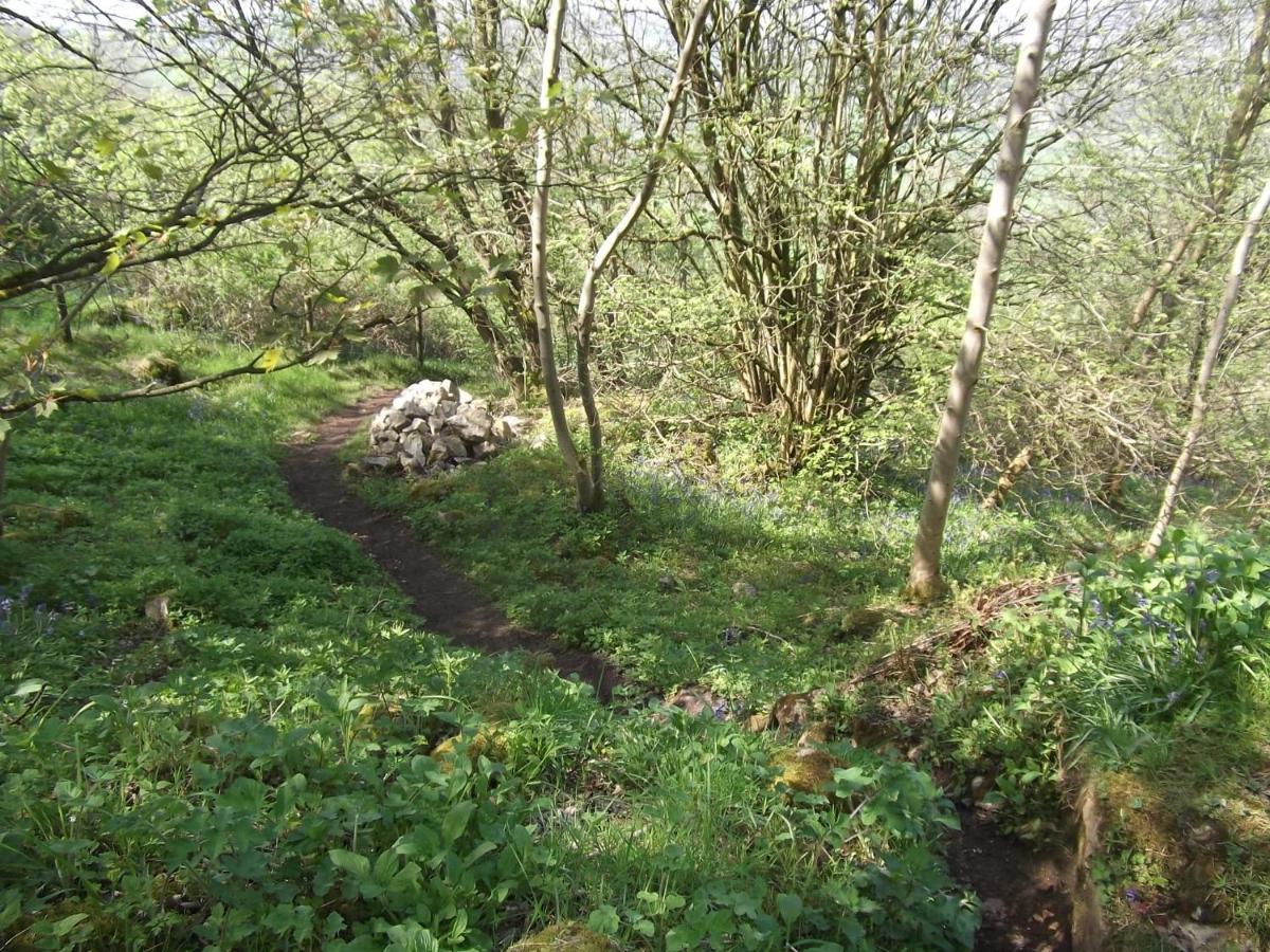 Hall Dale View Near Matlock & Peak District 외부 사진